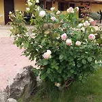 Villa Sorrentina Alghero