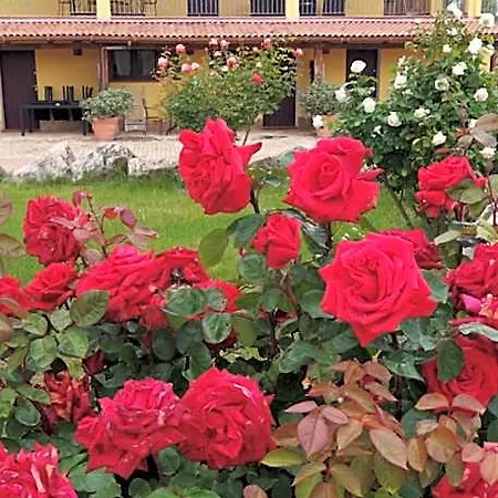Villa Sorrentina Aparthotel Alghero