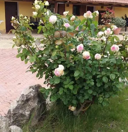 Villa Sorrentina Αλγκέρο