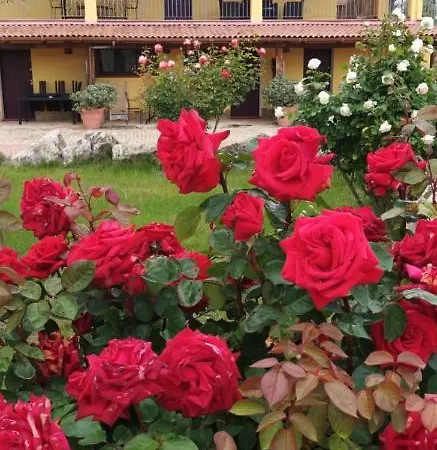 Villa Sorrentina Ξενοδοχείο με διαμερίσματα