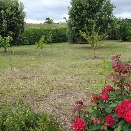 Sorrentina Lägenhetshotell